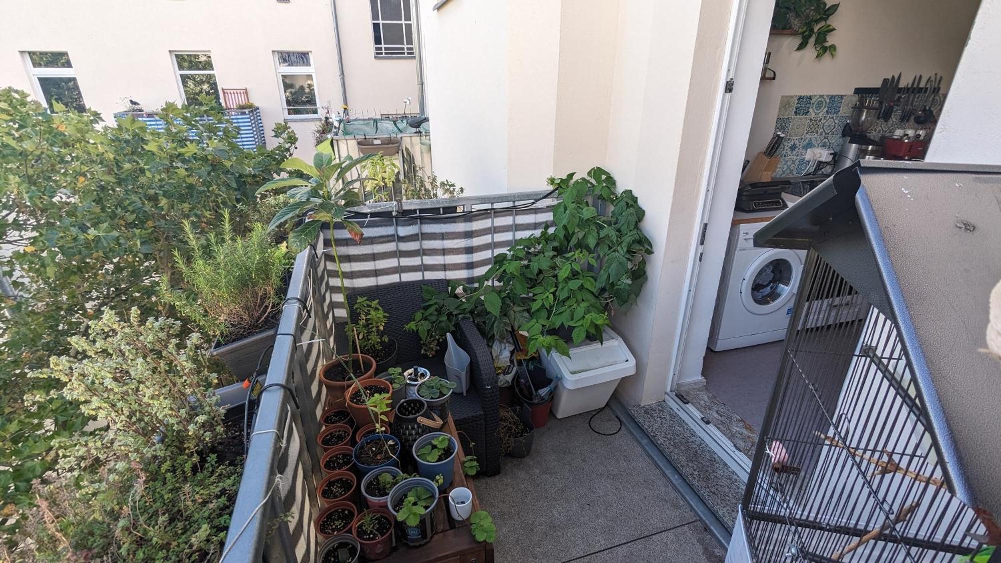 דירות Cosy Flat In Berlin'S Trendy Area מראה חיצוני תמונה